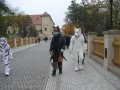 IMGP3172.JPG
